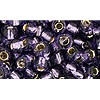 Vente au détail cc39 perles de rocaille Toho 6/0 silver lined tanzanite (10g)