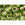 Vente au détail cc991 - perles de rocaille Toho 3/0 gold lined peridot (10g)