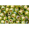 Achat au détail cc996 perles de rocaille Toho 6/0 gold lined rainbow peridot (10g)