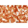 Achat cc31 - perles de rocaille Toho 6/0 silver-lined rosaline (10g)