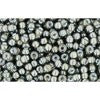 Achat cc371 - perles de rocaille Toho 11/0 black diamond/white lined (10g)