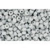 Achat cc53f - perles de rocaille Toho 11/0 opaque frosted grey (10g)