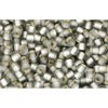 Achat cc29af - perles de rocaille Toho 11/0 silver lined frosted black diamond (10g)