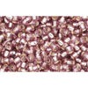 Achat cc26 - perles de rocaille Toho 11/0 silver lined light amethyst (10g)