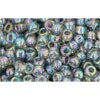 Creez cc176 perles de rocaille Toho 8/0 transparent rainbow black diamond (10g)