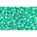 Creez avec cc164bf perles de rocaille Toho 11/0 trans-rainbow frosted dark peridot (10g)