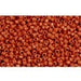 Achat cc46l perles de rocaille Toho 15/0 opaque terra cotta (5g)