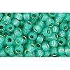 Vente au détail cc2119 perles de rocaille Toho 8/0 silver lined milky dark peridot (10g)