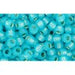 Creez avec cc2117 perles de rocaille Toho 8/0 silver lined milky aqua (10g)