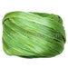 Achat Ruban de soie Shibori spring green borealis (10cm)