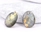 Achat Pendentif Perle Goutte Ovale Labradorite Facettes 19x15mm-0.9mm (1)